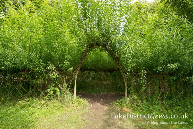 The entrance to the willow maze at Levens Hall