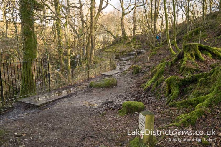 Stockghyll Force walk