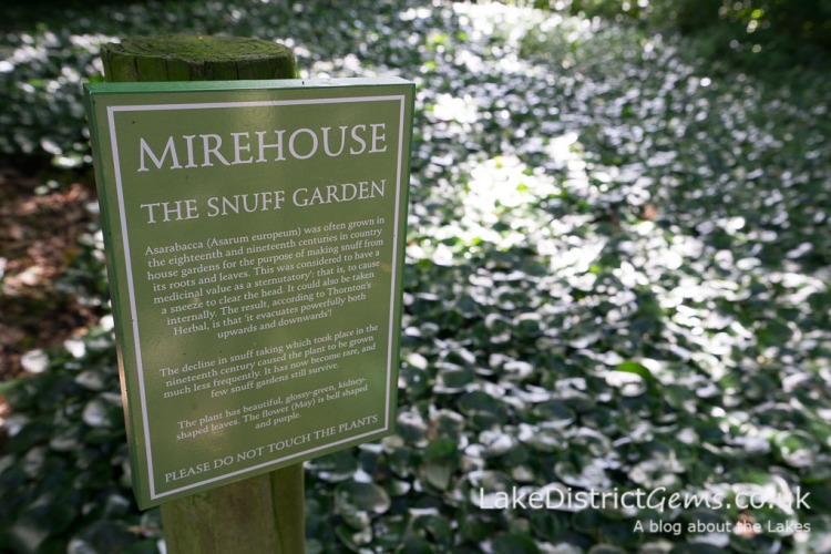 The Snuff Garden at Mirehouse