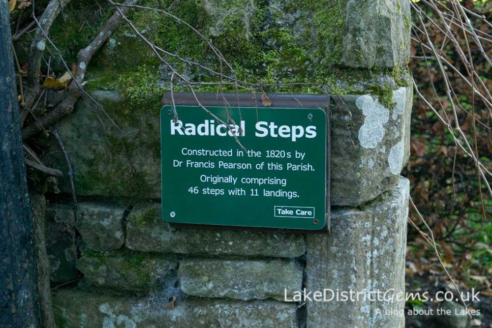 Sign to the Radical Steps